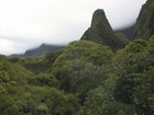 IAO Needle